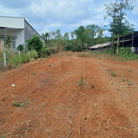 Bán Đất Nông Nghiệp, Đất Quy Hoạch Phủ Hồng, Huyện Cẩm Mỹ, Xã Lâm San, Tỉnh Đồng Nai