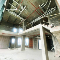 Hàng Hiếm - Bán Căn Hộ Duplex 215M2 - Thủ Thiêm Zeit River - 55 Tỷ All In