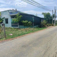 Bán Đất 98M2 Tại Bờ Huệ, Tân Quý Tây, Bình Chánh, Giá Siêu Hời 420 Triệu. Tiện Ích Đầy Đủ, Shr