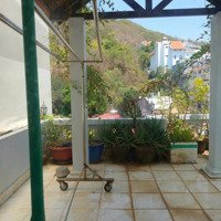 Cần Bán Gấp Nhà 2 Tầng Mặt Tiền Vũng Tàu Giá Chỉ 14 Tỷ Kinh Doanh Đỉnh Cao Giá Siêu Tốt