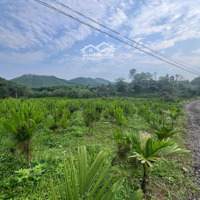 Bán Đất Làm Khu Nghỉ Dưỡng 12000M Có 400M Thổ Cư Tại Hồ Nghành Chè Bình Sơn Sông Công!