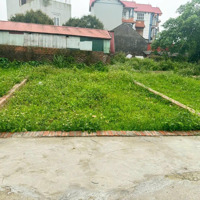 Đất Đẹp Tổ 9, Tt Quang Minh, Mê Linh. Gần Kcn Và Trường Cd Y Dược Tuệ Tĩnh