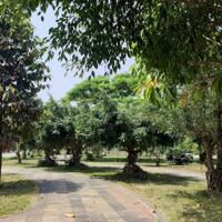 Cực hiếm - Cần bán gấp đất KDC An Điền Phát ngay quảng trường 23/4 TP Quảng Ngãi - Sổ đỏ lâu dài