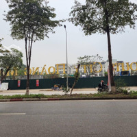 Liền Kề - Louis City - Hoàng Mai - Lô Góc - Diện Tích 140M - 5 Tầng - Giá Bán 45.5 Tỷ