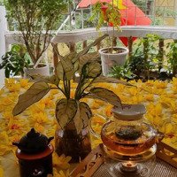 Chỉ Cho Nữ Thuê Phòng Trọ Mặt Ngõ Phố Lạc Trung. Nhà Sạch Đẹp Thoáng, Tiện Ích Đầy Đủ.