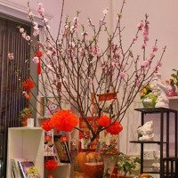 Chỉ Cho Nữ Thuê Phòng Trọ Mặt Ngõ Phố Lạc Trung. Nhà Sạch Đẹp Thoáng, Tiện Ích Đầy Đủ.