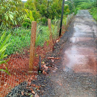 Vườn Cây Ăn Trái 2000M2, Giá Bán 700 Triệu, Có Sẵn Nhà Thô, Sổ Hồng Riêng, Ngân Hàng Có Hỗ Trợ Vay