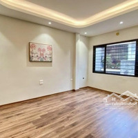 Bán Nhà Quận Hai Bà Trưng, Hàng Xóm Timecity 45M 5T 6P.ngủ, Xây Mới, Tiện Ích An Sinh Đỉnh Cao