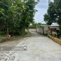 Cắt Lỗ Sâu. Chỉ Hơn 2.5 Tỷ Sở Hữu 72.3M2 Full Thổ Tại Hạ Bằng, Hoà Lạc. Cam Kết Rẻ Nhất Thị Trường