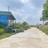 Bán Gấp Lô Đất Gần Kcn Minh Hưng 3 Chơn Thành-Bình Phước.diện Tích270M2 Tc100 Sổ Sẵn Giá Chỉ 450 Triệu 1 Lô