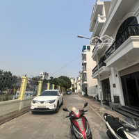 Bán Đất Đấu Giá An Lạc, Sở Dầu, Hồng Bàng 3,X Tỷ