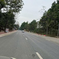 Bán Đất Đại Lộ Thăng Long Đồng Trúc Thạch Thất Hà Nội, Giáp Nhà Máy In Tiền 500M2, Giá Bán 2,95 Tỷ