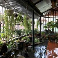 BÁN NHÀ PHÂN LÔ – Ô TÔ TRÁNH – TRẦN QUỐC HOÀN – CẦU GIẤY – 5 TẦNG – 55M² – GIÁ NHỈNH 18 TỶ