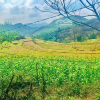 View Thung Lũng Bám 200M2 Rất Thích Hợp Để Bỏ Phố Về Quê Làm Trang Trại Nhà Vườn Xây Homestay
