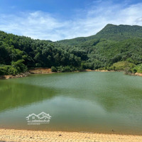 View Thung Lũng Bám 200M2 Rất Thích Hợp Để Bỏ Phố Về Quê Làm Trang Trại Nhà Vườn Xây Homestay