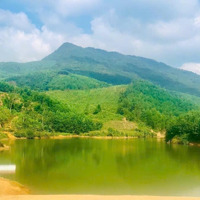 View Thung Lũng Bám 200M2 Rất Thích Hợp Để Bỏ Phố Về Quê Làm Trang Trại Nhà Vườn Xây Homestay