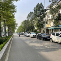 Chính Chủ Gửi Bán Lô Shophouse Giá Rẻ, Trục Chính 36M Tại Vinhomes Thăng Long
