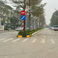 Chính Chủ Gửi Bán Lô Shophouse Giá Rẻ, Trục Chính 36M Tại Vinhomes Thăng Long