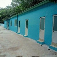 Cần Bán Hoặc Cho Thuê Tổng Diện Tích 7400M2 , Xưởng 5000M2 Pccc Tự Động Đã Thẩm Duyệt