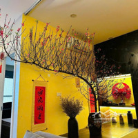 Cần Bán Căn Studio 1N + 1N 1 Vệ Sinhdiện Tích: 50M2 Bc: Nam Tại Riverside Garden Full Nội Thất Sổ Đỏ 4 Tỷ Có Tl