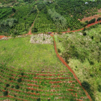 Đắk Ha, Dăk Glong, Đắk Nông, Giá Tốt, 22000 M2, Bán Đất Thổ Cư