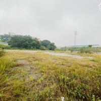 Bán đất thương mại dịch vụ mặt đường Đình Ấm, Khai Quang, Vĩnh Yên, Vĩnh Phúc