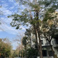 Duy Nhất! Bán Nhanh Bt Song Lập Đường To Tại Vinhomes Thăng Long