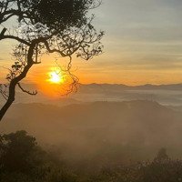 Bán Đất Thổ Cư View Săn Mây Lộc Thành, Bảo Lâm, Lâm Đồng, Chỉ 1,3 Tr/M2, Dt: 3910 M2 (200M2 Ont)