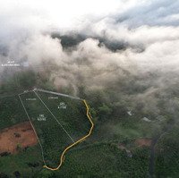 Bán Đất Thổ Cư View Săn Mây Lộc Thành, Bảo Lâm, Lâm Đồng, Chỉ 1,3 Tr/M2, Dt: 3910 M2 (200M2 Ont)