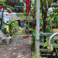 Bán 2 Lô Liền Kề 5*20M . Khu Phố 4.Thị Trấn Hóc Môn. Gần Chợ