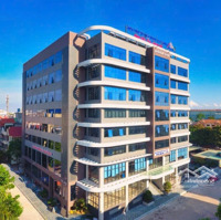 Cho Thuê Văn Phòng Ở Tầng 7 Tòa Nhà Taiyo Số 97 Bạch Đằng, Phường Hùng Vương, Hồng Bàng, Hải Phòng