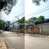 Cho Thuê Nhà An Phú, Mặt Tiền Đoàn Hữu Trưng, Sau Lưng The Vista, Thuận Tiện Kinh Doanh