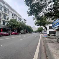 SIÊU PHẨM Lô Góc 169m², MT 8.11m  Lý Nam Đế - Nam Đầm Vạc!