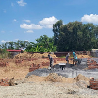 Cho Thuê Kho, Nhà Xưởng 800M2, Giá Bán 30 Triệu Tại Đường T7, Xã Hưng T7, Xã Hưng Long, Bình Chánh, Hcm