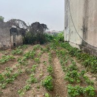 Bán Đất Tại Thị Trấn Gia Bình, 3,75 Tỷ, 90 M2, Pháp Lý Đầy Đủ