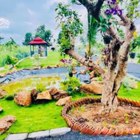 Cần Bán Nhà Vườn Tại Phước Tân Xuyên Mộc Brvr 1000M2 Có 80M Tc Sẵn Nhà Gỗ Cây Ăn Trái Giá Bán 2Ty6