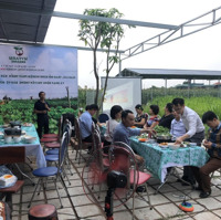Cho Mặt Bằng Kinh Doanh Nhà Hàng, Gara Oto, Sân Tập Thể Thao...giá Cực Chất 25 Triệu, 20000M2