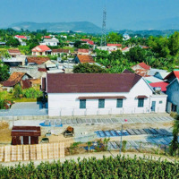 Đất Diên Hoà 180M, Full Thổ Cư, Đường Oto, Giá Chỉ 899 Triệu