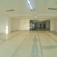 Cho Thuê Nhà Mặt Phố Đường Hậu Giang, Tân Bình, 350 Triệu, 1200 M2