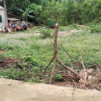 Hơ Hội Sở Hữu Lô Đất 384M Tại Trục Chính Quy Hoạch Kcn Lạc Thịnh