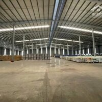 Cho thuê xưởng 15000m2 KCN Huyện Củ Chi, HCM