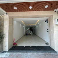Chính Chủ Cho Thuê Mặt Bằng Trệt Nhà Mặt Tiền Phổ Quang, Phú Nhuận