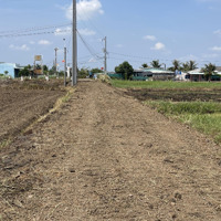 Chính Chủ Cần Bán 2000M2 Đất Lúa Ấp 1 Xã Quê Mỹ Thạnh , Tân Trụ,Long An