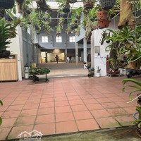 Bán 654M Xưởng Hoàn Công Đường Xa Cont Chạy Giáp Tô Ký Nguyễn Ảnh Thủ