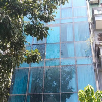 Siêu Phẩm Toà Văn Phòng Cực Đẹp Trung Tâm Đống Đa, Phân Lô Hoàng Cầudiện Tích75M2 X 6 Tầng Thang Máy