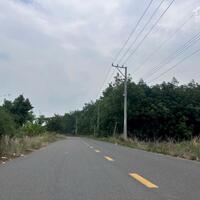 BÁN ĐẤT CLN VĨNH HOÀ PHÚ GIÁO BÌNH DƯƠNG