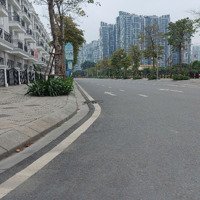 Siêu Vip Lk Twinspark Trâu Quỳ, Gia Lâm, Hn