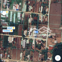 Bán Đất Trung Tâm Ấp 4 Bàu Cạn