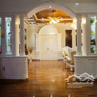 Mặt Tiền Kinh Doanh- Thoại Ngọc Hầu- 430M2 - 7.8X54M- 5 Tầng- Thang Máy- 57 Tỷ