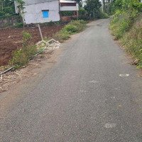 4567 M2 Có 100 Mặt Tiền Đường Nhựa, Phủ Hồng , Bàu Chinh, Châu Đức Brvt